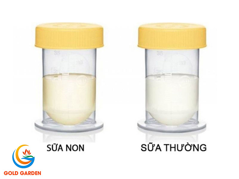 Đặc tính cơ bản của sữa non